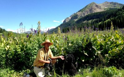 SPONSOR HIGHLIGHT: Jack Zittere, Field Ecologist, Collector & Dumpster Diver